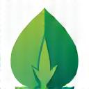 Eco-friendly leaf icon